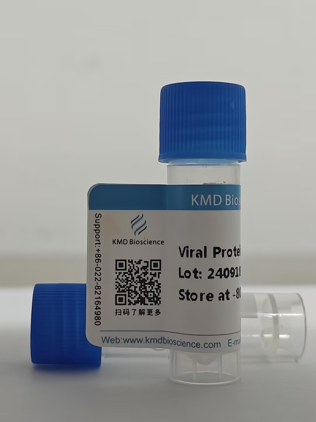 Cox A16 (strain G-10) VP4 protein, Fc Tag